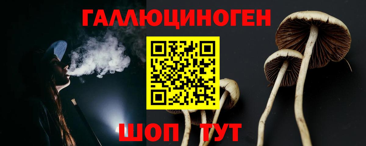 Галлюциногенные грибы мухоморы Астрахань
